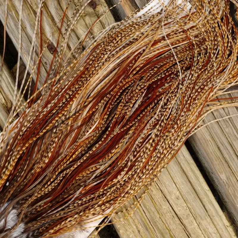 Whiting Heritage Hackles Rooster Saddle in Mixed Colours J Cree/Cree Variant/Furnace/Red Game/Dun Cree/Flecked Dark Ginger/Chocolate Brown Grizzly Tying approx 14/16/18 and YOU will find a few smaller -1