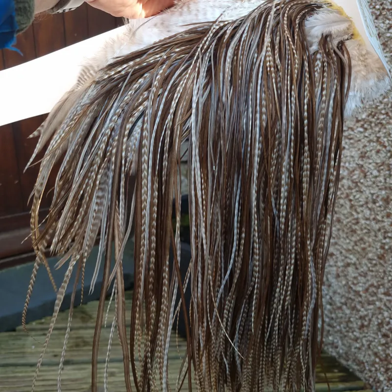 Whiting Heritage Hackles Rooster Saddle in Mixed Colours J Dun Grizzly/Light/Medium/Dark Brown Dun Tying approx 12/14/16 and YOU will find a few 18/20 -6