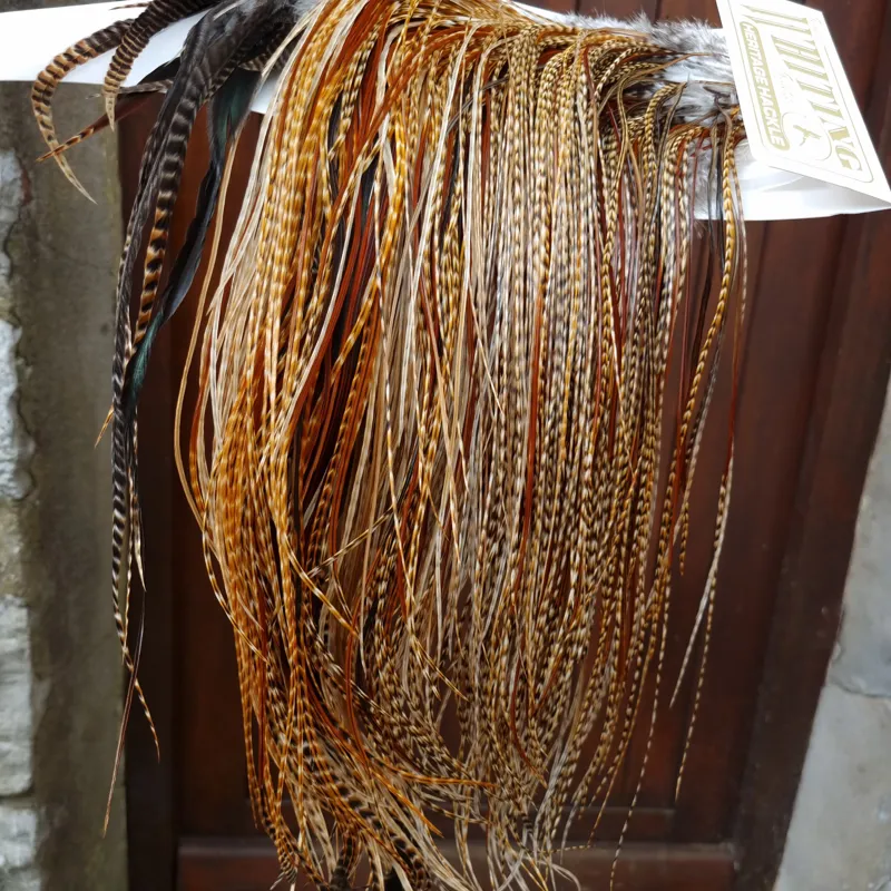 Whiting Heritage Hackles Rooster Saddle in Mixed Colours J Cree/Cree Variant/Furnace/Red Game/Dun Cree/Flecked Dark Ginger/Chocolate Brown Grizzly Tying approx 14/16/18 and YOU will find a few smaller -3