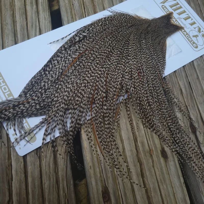 Whiting Heritage Hackles Rooster Cape in Mixed Colours J Classic GRIZZLY with a VERY LIGHT Splashing of Furnace Hackles-5