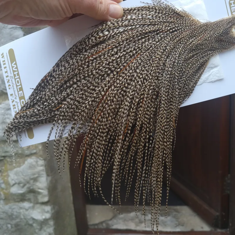 Whiting Heritage Hackles Rooster Cape in Mixed Colours J Classic GRIZZLY with a VERY LIGHT Splashing of Furnace Hackles