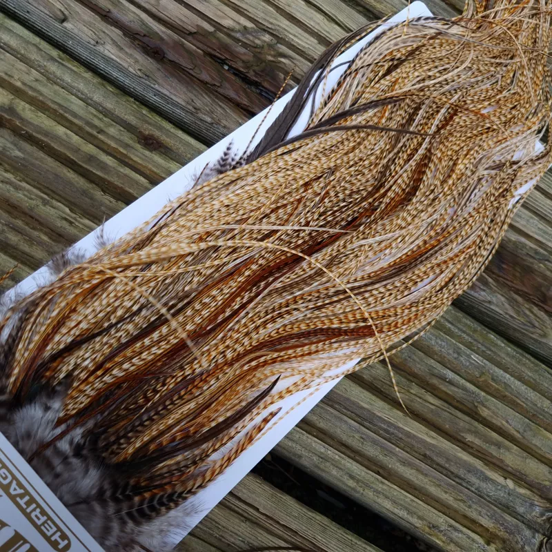 Whiting Heritage Hackles Rooster Saddle in Mixed Colours K Barred Medium Ginger/Brassy Dun/Furnace/Greenwell's Tying Approx Some 12 and STUFFED with 14/16/18-6