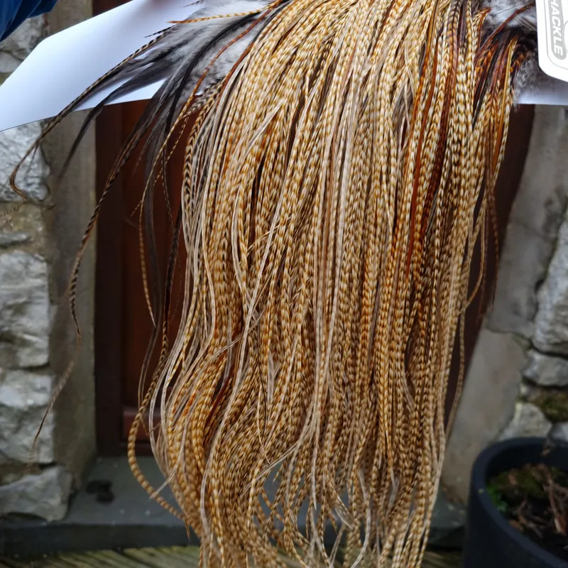 Whiting Heritage Hackles Rooster Saddle in Mixed Colours K Barred Medium Ginger/Brassy Dun/Furnace/Greenwell's Tying Approx Some 12 and STUFFED with 14/16/18-1