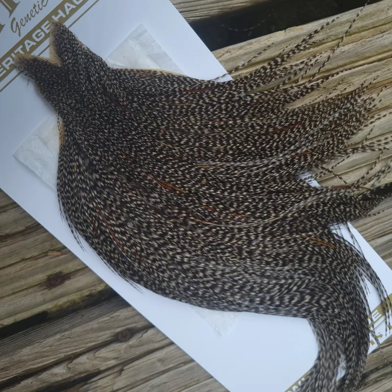 Whiting Heritage Hackles Rooster Cape in Mixed Colours K DARK GRIZZLY with a Very Light Splashing of Furnace Hackles-1
