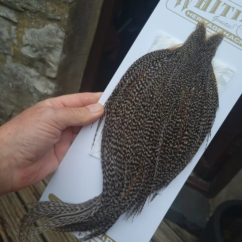 Whiting Heritage Hackles Rooster Cape in Mixed Colours K DARK GRIZZLY with a Very Light Splashing of Furnace Hackles-4