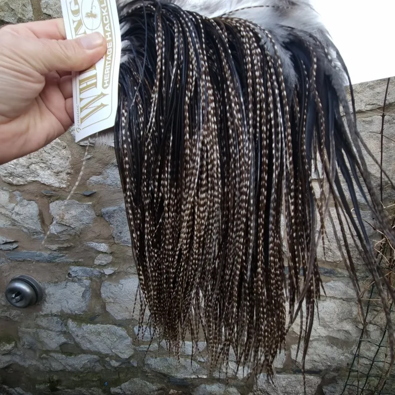 Whiting Heritage Hackles Rooster Saddle in Mixed Colours L Dark Grizzly Variant/ Natural Black Approx Tying Size 12/14 and a few 16	-1