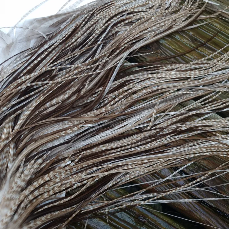 Whiting Heritage Hackles Rooster Saddle in Mixed Colours L Dun Grizzly Splashed with Natural Dun/ Chocolate Brown  Approx Tying Size 12/14/16 and a few 18	-7