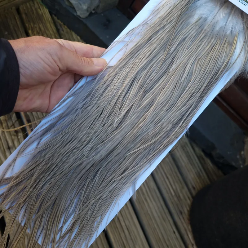 Whiting Hebert Miner Pro-Grade Dry Fly Rooster Saddle in Light Gray Dun A/ Light Blue Dun Tying Approx 10/12/14-5