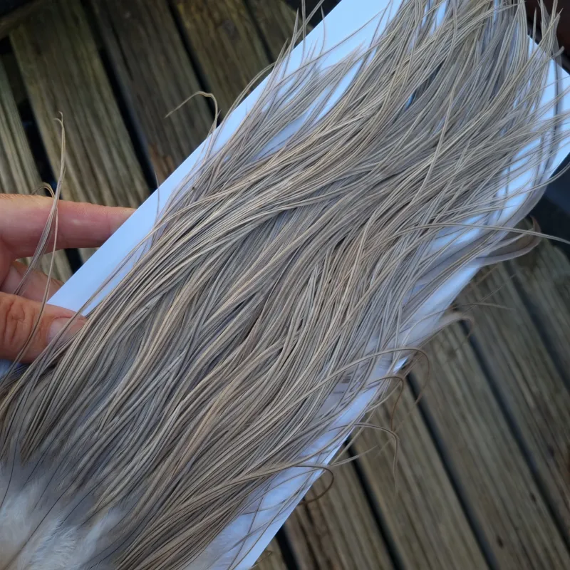 Whiting Hebert Miner Pro-Grade Dry Fly Rooster Saddle in Light Gray Dun A/ Light Blue Dun Tying Approx 10/12/14