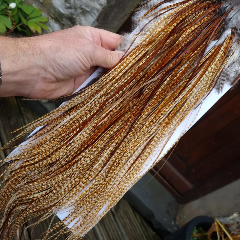 Whiting Heritage Hackles Rooster Saddle in Mixed Colours M Light/Medium and Dark Barred Ginger with a good splashing of Brassy Dun and a few Furnace down the centre Approx tying sizes 12/14/16/18-8