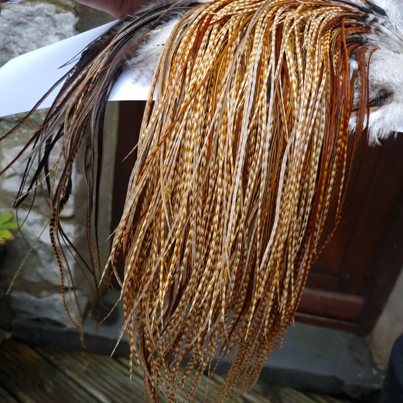 Whiting Heritage Hackles Rooster Saddle in Mixed Colours M Light/Medium and Dark Barred Ginger with a good splashing of Brassy Dun and a few Furnace down the centre Approx tying sizes 12/14/16/18-7