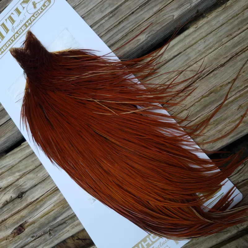Whiting Heritage Hackles Rooster Cape in Mixed Colours M Red Game/Furnace
