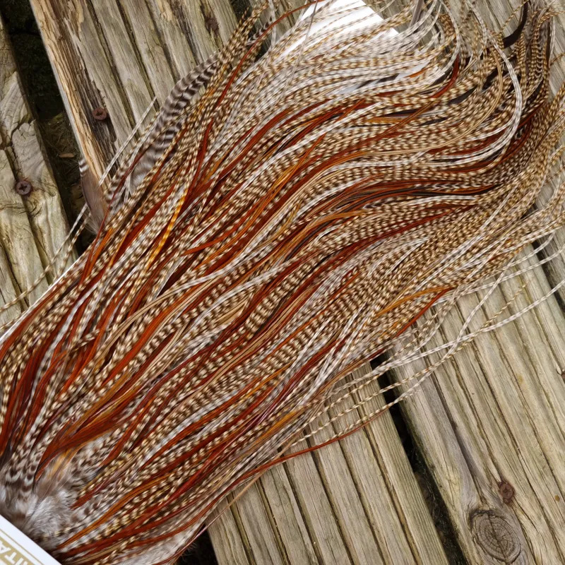 Whiting Heritage Hackles Rooster Saddle in Mixed Colours M Dun Cree/Dun Grizzly/Rusty Dun/Furnace Approx tying sizes 12/14/16-6