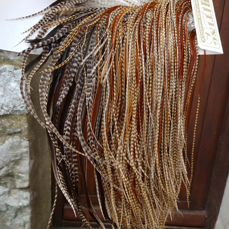 Whiting Heritage Hackles Rooster Saddle in Mixed Colours M Dun Cree/Dun Grizzly/Rusty Dun/Furnace Approx tying sizes 12/14/16-2