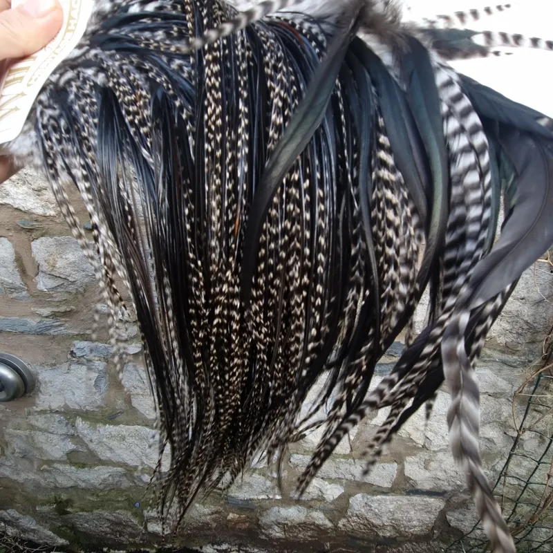 Whiting Heritage Hackles Rooster Saddle in Mixed Colours M Dark Grizzly/Natural Black Approx tying sizes 10/12/14-1