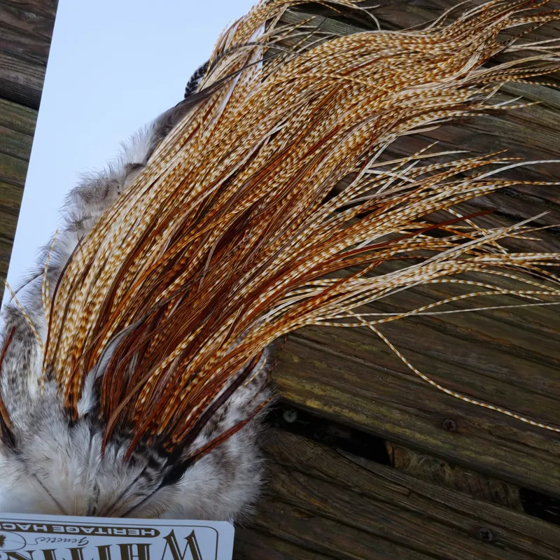 Whiting Heritage Hackles Rooster Saddle in Mixed Colours M Light/Medium and Dark Barred Ginger with a good splashing of Brassy Dun and a few Furnace down the centre Approx tying sizes 12/14/16/18-9