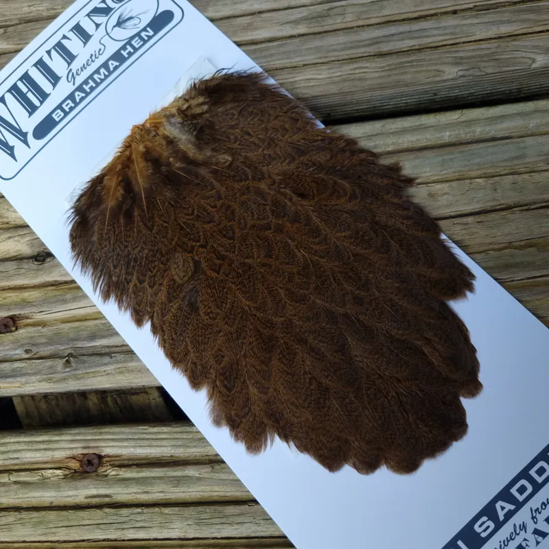 Whiting Brahma Hen Saddle in March Brown-5