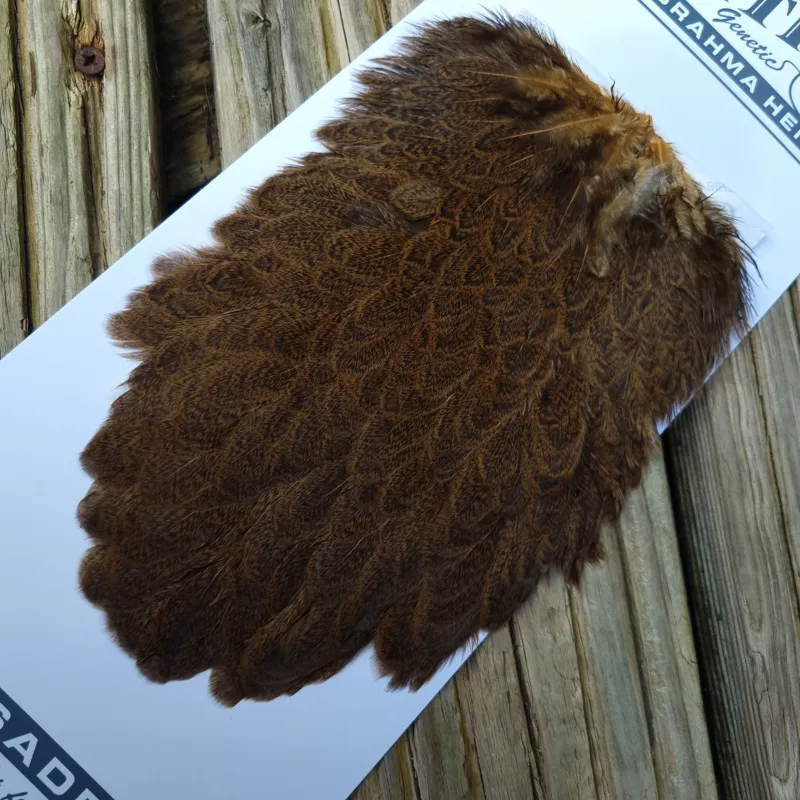 Whiting Brahma Hen Saddle in March Brown-6