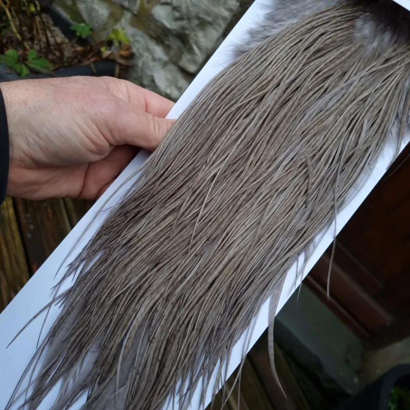 Whiting PRO-GRADE Dry Fly Rooster Saddle in Medium Dun B Approx Tying Sizes 12 14 16-1