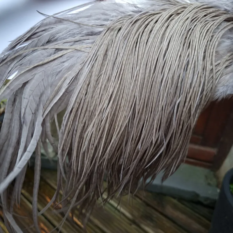 Whiting PRO-GRADE Dry Fly Rooster Saddle in Medium Dun B Approx Tying Sizes 12 14 16-5