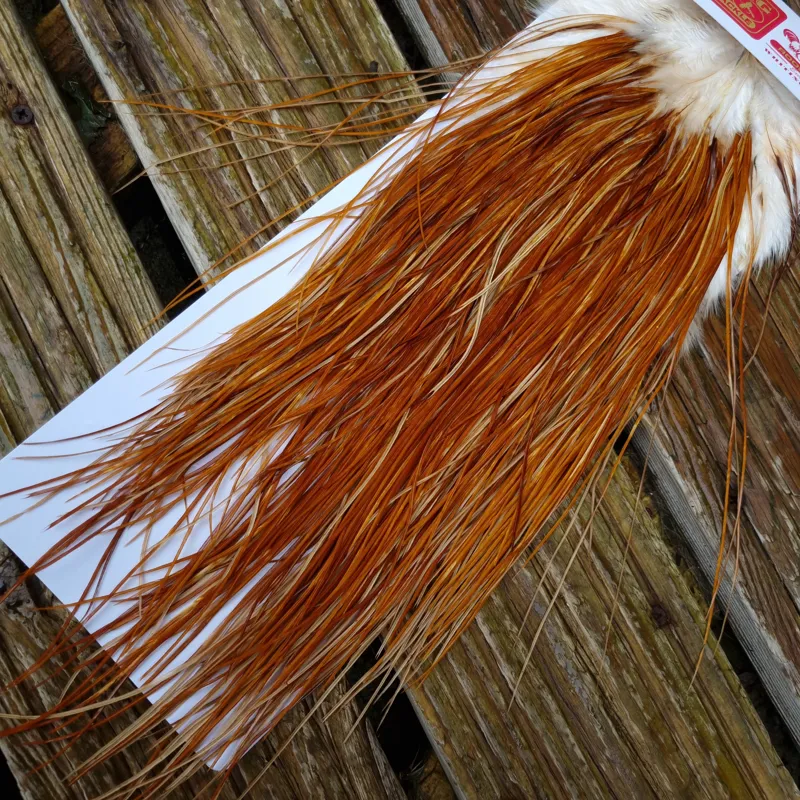 Whiting Pro-Grade Midge Rooster Saddle in Medium Ginger A  Approx Tying size odd 14 and stuffed with16/18/20/22 and a few going smaller-3