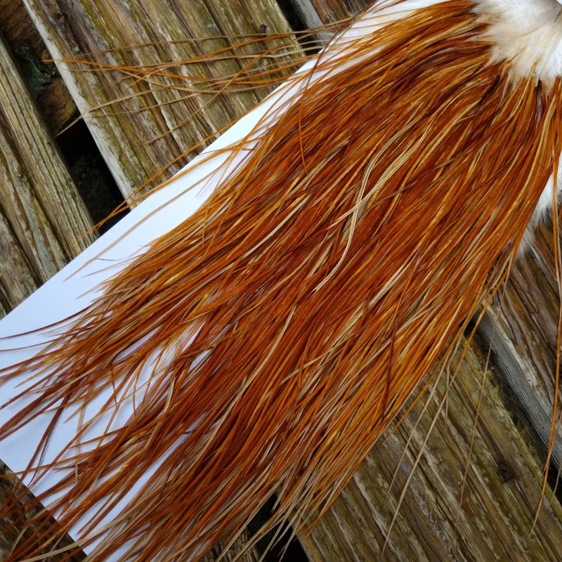 Whiting Pro-Grade Midge Rooster Saddle in Medium Ginger A  Approx Tying size odd 14 and stuffed with16/18/20/22 and a few going smaller-4