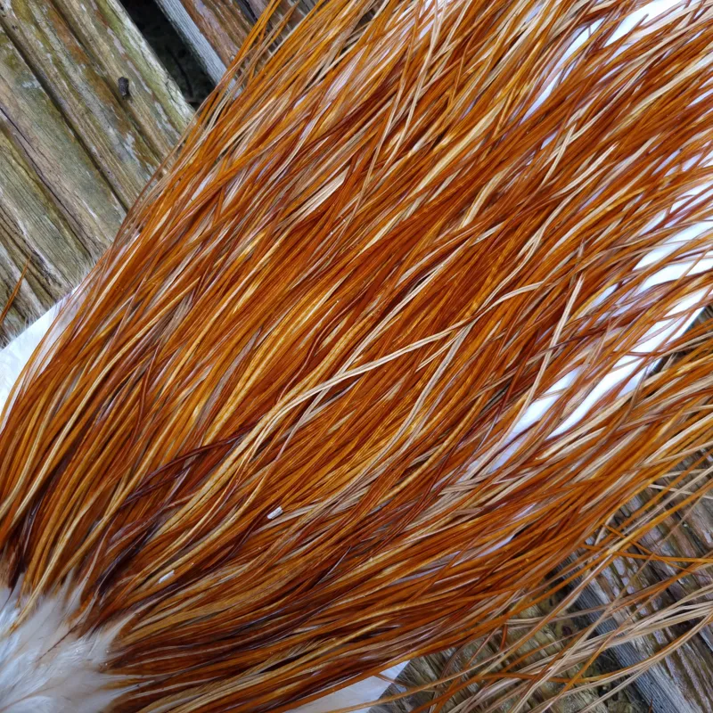 Whiting Pro-Grade Midge Rooster Saddle in Medium Ginger A  Approx Tying size odd 14 and stuffed with16/18/20/22 and a few going smaller-5