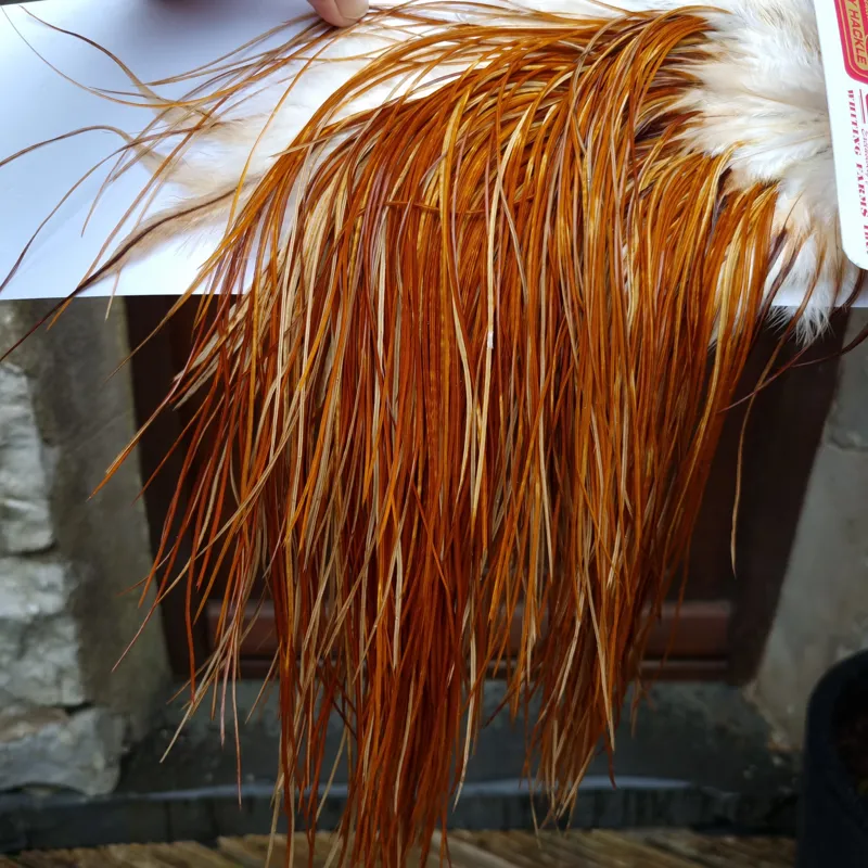 Whiting Pro-Grade Midge Rooster Saddle in Medium Ginger A  Approx Tying size odd 14 and stuffed with16/18/20/22 and a few going smaller-2