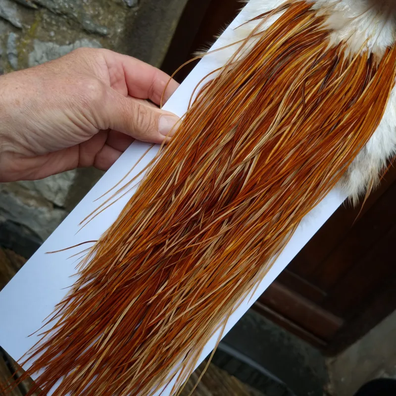 Whiting Pro-Grade Midge Rooster Saddle in Medium Ginger A  Approx Tying size odd 14 and stuffed with16/18/20/22 and a few going smaller-6