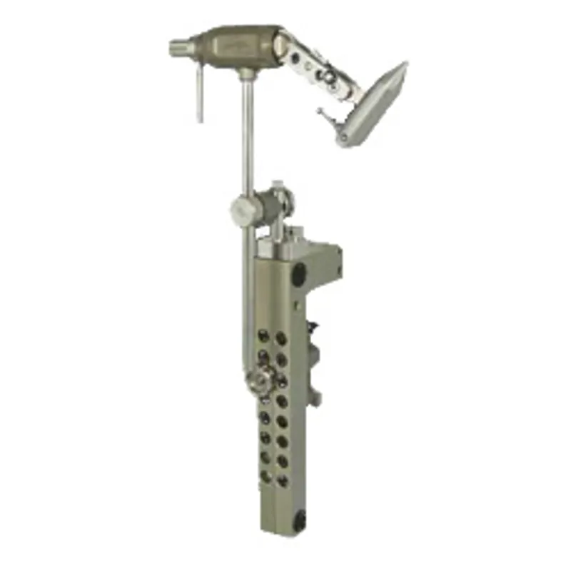 Marc Petitjean Swiss Vice Master Version