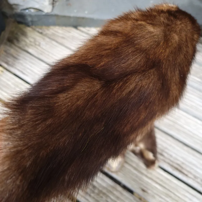 LARGE FULL SOFT Tanned Muskrat Skins-2