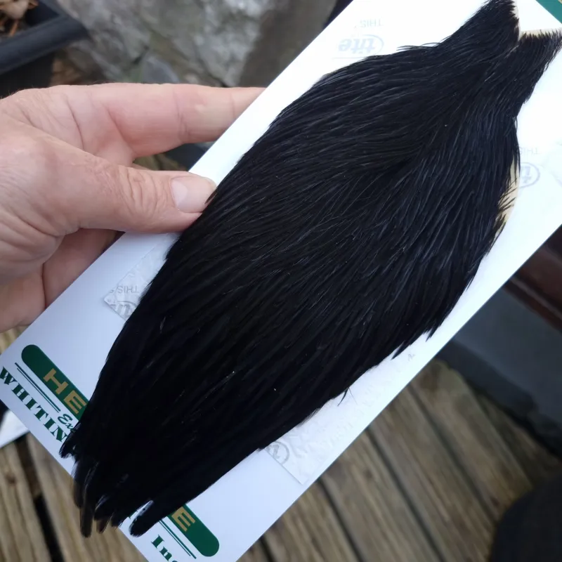 Whiting Hebert Miner Hen Cape in Natural Black A