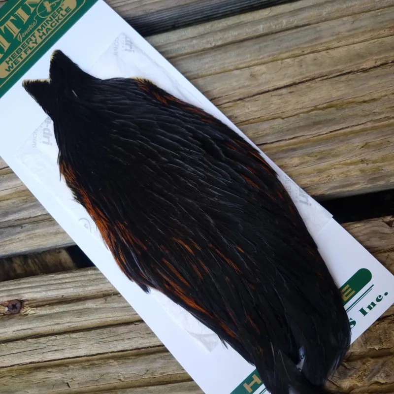 Whiting Hebert Miner Hen Cape in Natural Black C-2