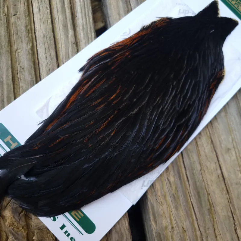 Whiting Hebert Miner Hen Cape in Natural Black C-3