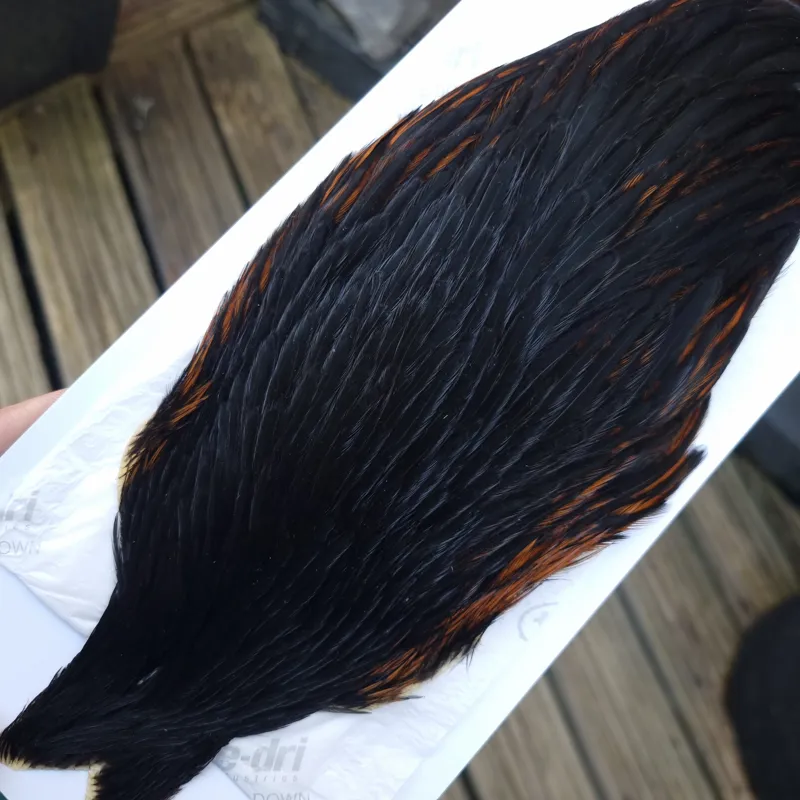 Whiting Hebert Miner Hen Cape in Natural Black C