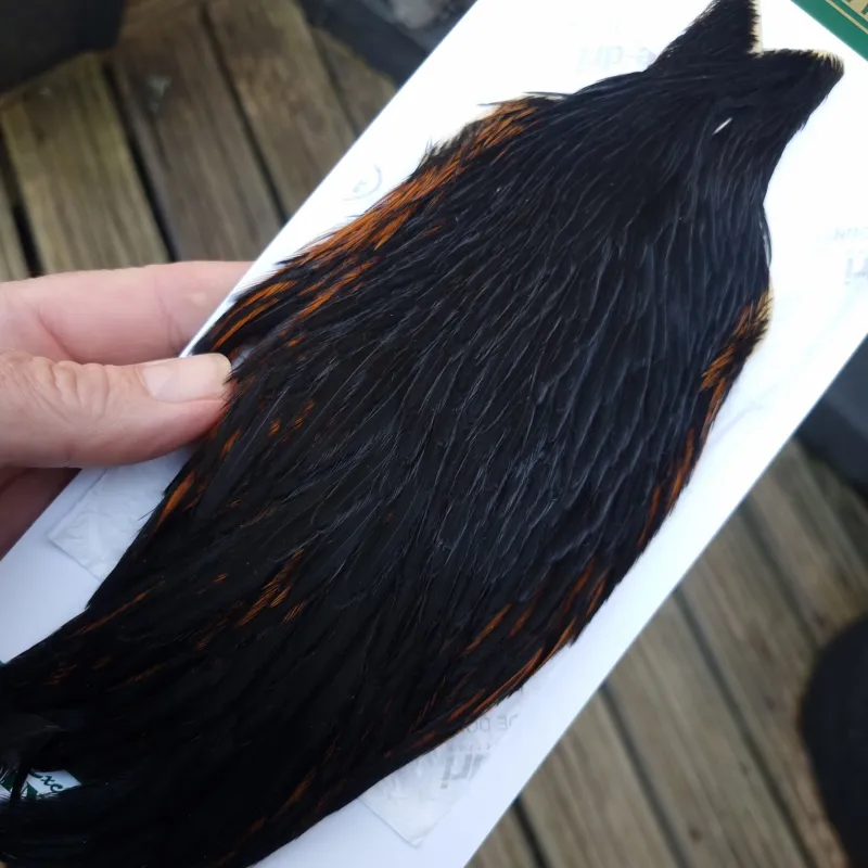 Whiting Hebert Miner Hen Cape in Natural Black C-1