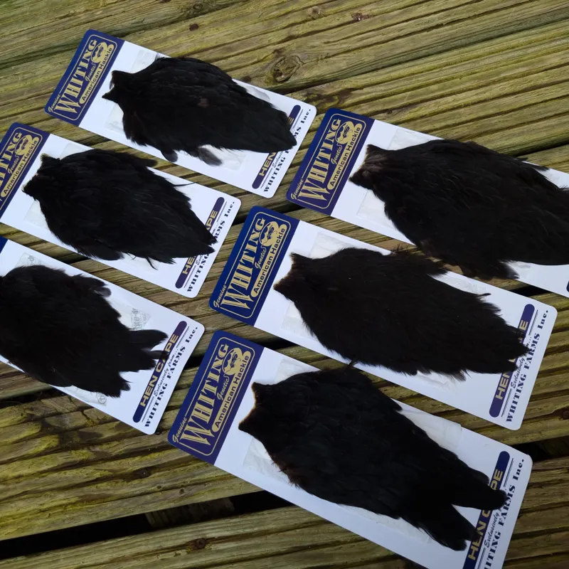 Whiting American Hen Cape in Natural Black-7