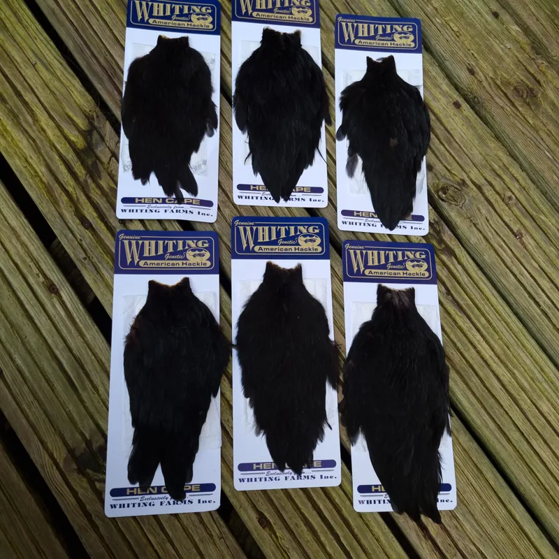 Whiting American Hen Cape in Natural Black-9