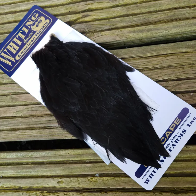 Whiting American Hen Cape in Natural Black-6