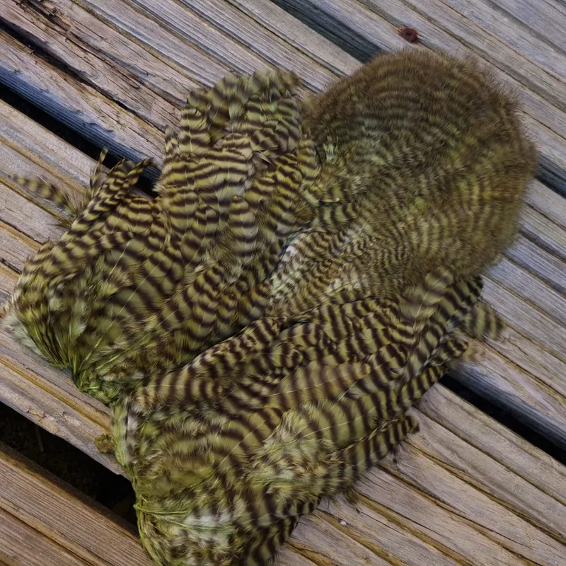 Whiting Rooster Soft Hackle with Chickabou in Grizzly Dyed Olive-3