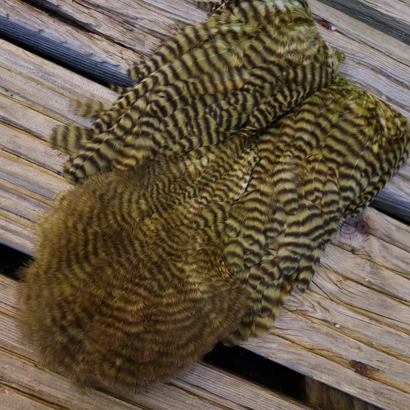 Whiting Rooster Soft Hackle with Chickabou in Grizzly Dyed Olive-2