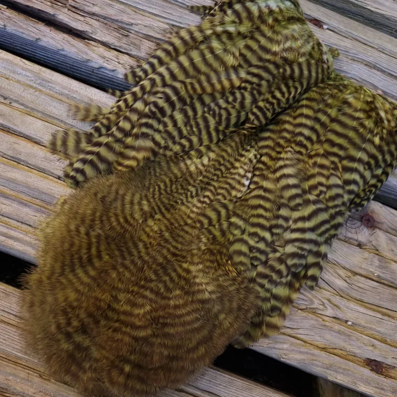 Whiting Rooster Soft Hackle with Chickabou in Grizzly Dyed Olive