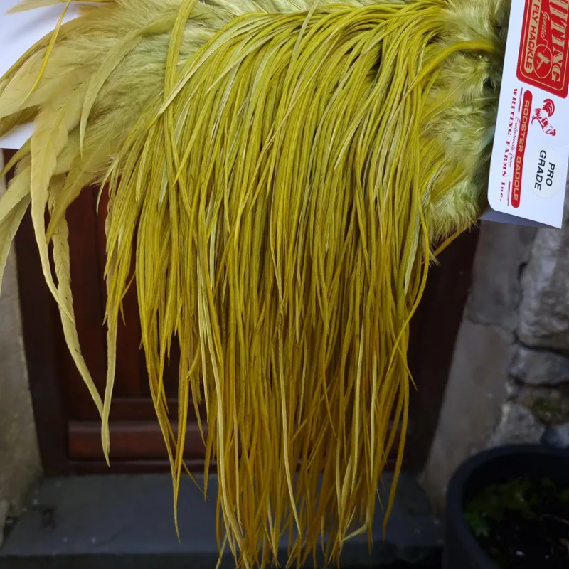 Whiting PRO-GRADE Dry Fly Rooster Saddle in White Dyed Olive A  Tying Approx  some 10 and stuffed with 12/14