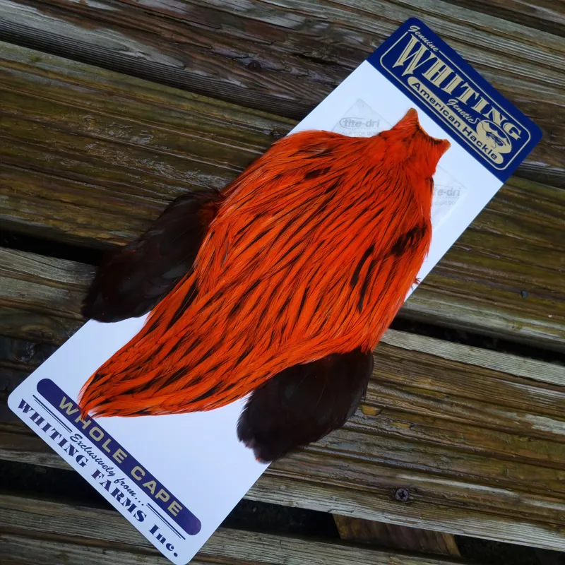 Whiting American Rooster Cape in Silver Badger Dyed Orange-1