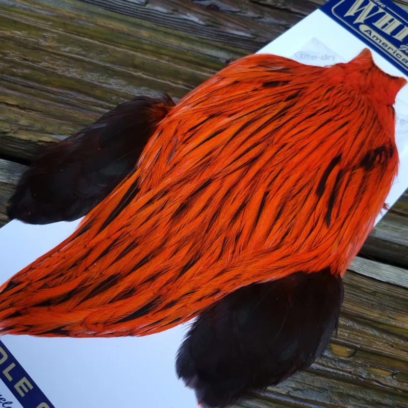 Whiting American Rooster Cape in Silver Badger Dyed Orange