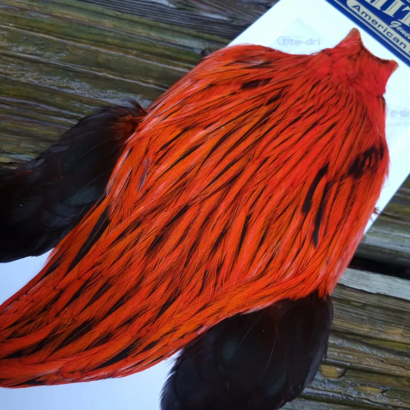 Whiting American Rooster Cape in Silver Badger Dyed Orange-2