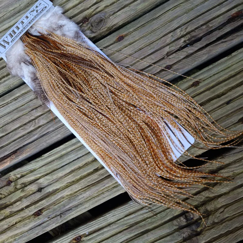Whiting Heritage Hackles Rooster Saddle in Mixed Colours P Light to Medium Barred Ginger with a Splash of Brassy Dun and Unique Hackles Approx Tying Size 14/16/18/20/22-6