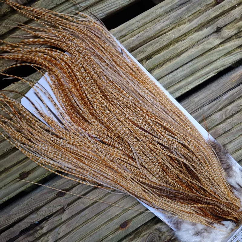 Whiting Heritage Hackles Rooster Saddle in Mixed Colours P Light to Medium Barred Ginger with a Splash of Brassy Dun and Unique Hackles Approx Tying Size 14/16/18/20/22-4