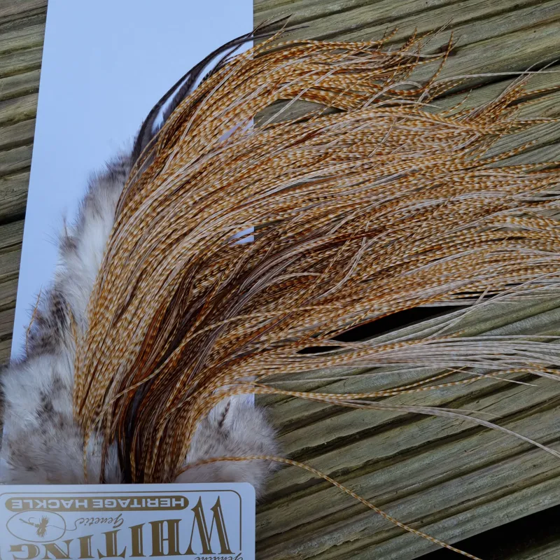 Whiting Heritage Hackles Rooster Saddle in Mixed Colours P Light to Medium Barred Ginger with a Splash of Brassy Dun and Unique Hackles Approx Tying Size 14/16/18/20/22-5