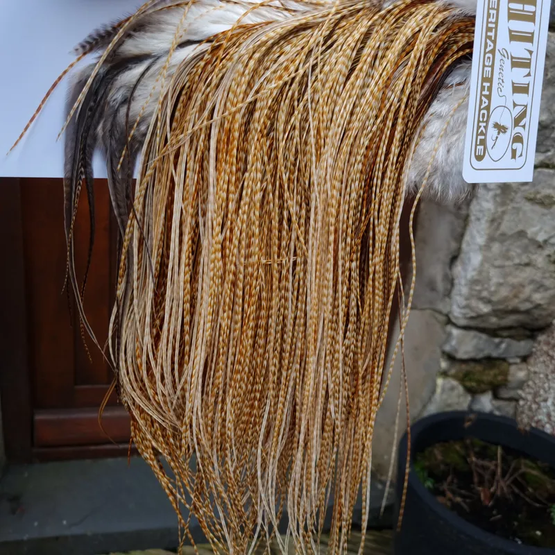 Whiting Heritage Hackles Rooster Saddle in Mixed Colours P Light to Medium Barred Ginger with a Splash of Brassy Dun and Unique Hackles Approx Tying Size 14/16/18/20/22-3